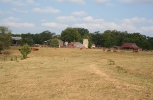 This 115-acre property near Easley was just one of several tracts of land included in agreements between conservation group Upstate Forever and local landowners over the last year.