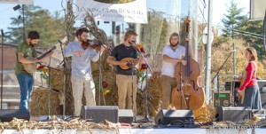 Pretty Little Goat String Band