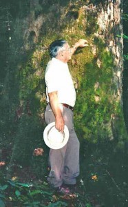 Courtesy Photo Carl Cloer is pictured with a giant tree in the Joyce Kilmer Memorial Forest.